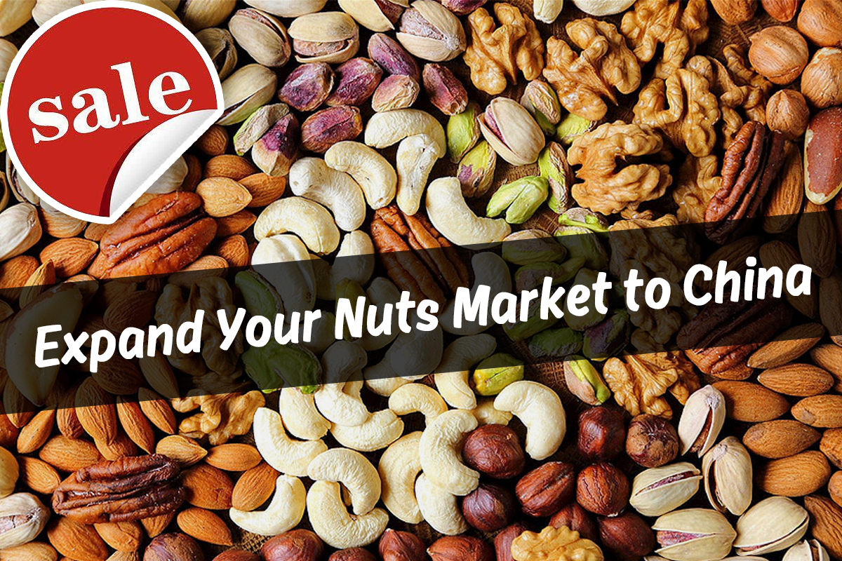 Sencent Snacks Brand Make Sizable Profit By Exporting Nuts To China